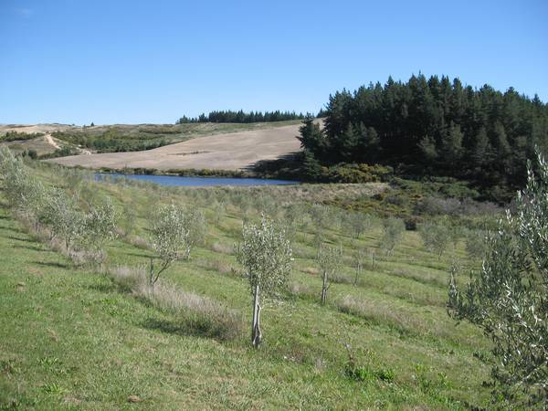 ARCHITECTURAL EXECUTIVE HOME Picture 3