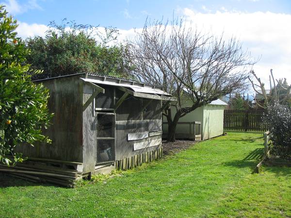 A TOUCH OF COUNTRY IN TOWN Picture 2