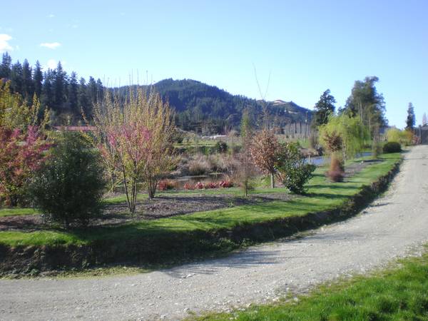 BLUEBERRIES/PIPFRUIT/LIFESTYLE Picture