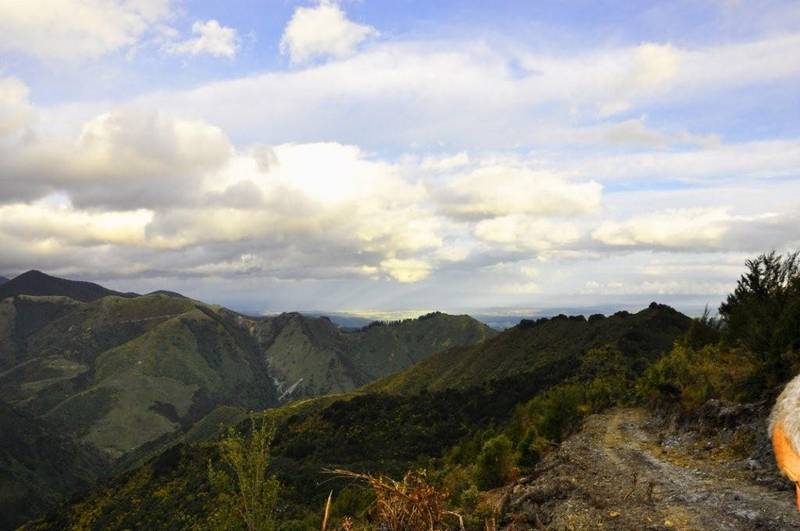 TRUE CONSERVATION BLOCK FOR A GREEN GETAWAY Picture 2