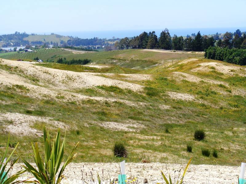 SEA VIEW-LOCATION-LIFESTYLE Picture 1