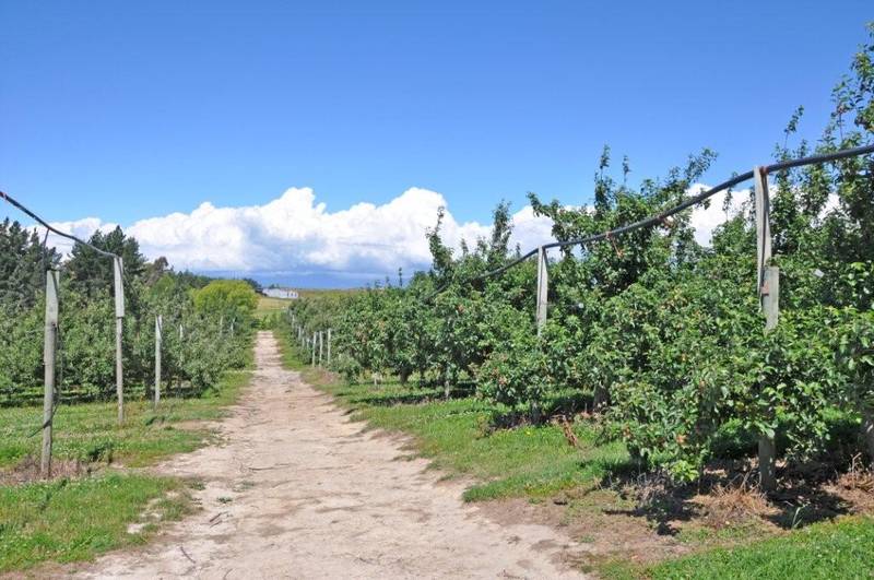 LIFESTYLE PROPERTY WITH AN INBUILT INCOME Picture 2