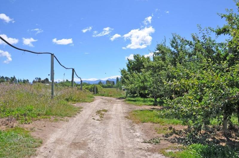 LIFESTYLE PROPERTY WITH AN INBUILT INCOME Picture 3