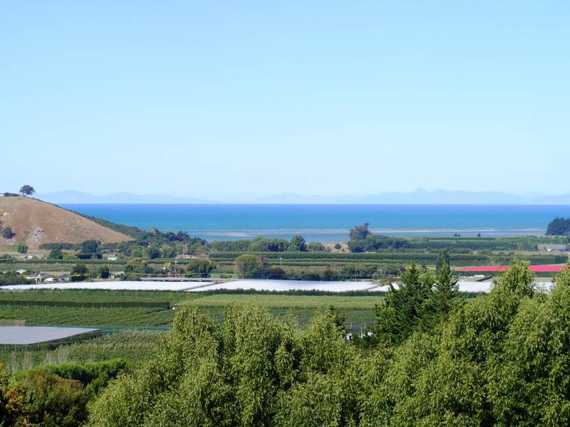 AWESOME DESCRIBES OUTLOOK Picture 1