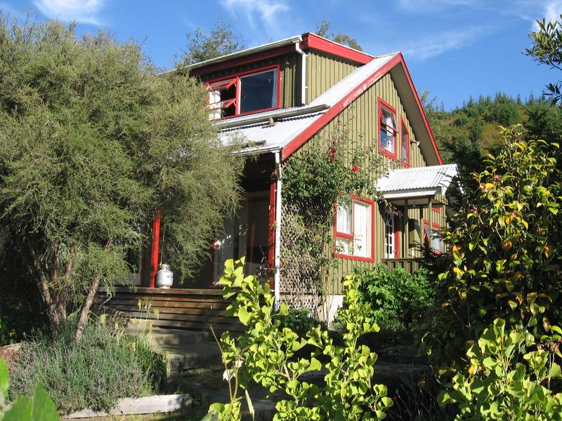 MINI VINEYARD + LIFESTYLE Picture 2