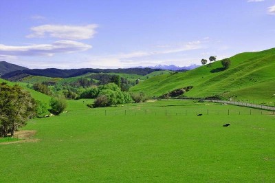 RURAL TRANQUILITY Picture