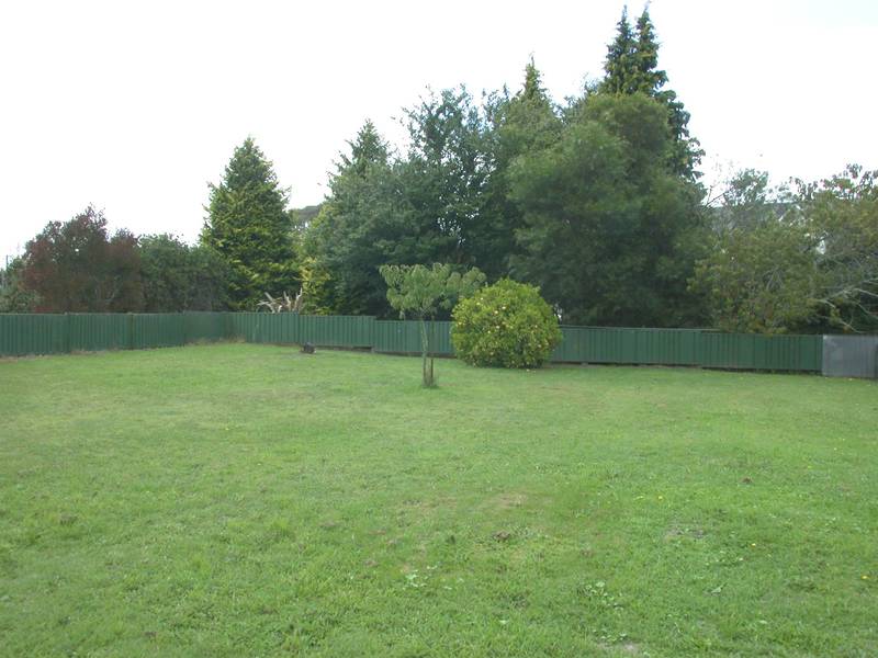 GENUINE KIWI BACH Picture 3