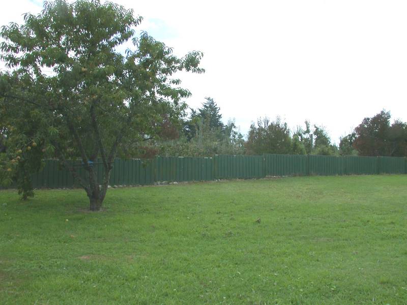 GENUINE KIWI BACH Picture 2