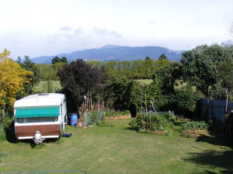 REAL BEACHY FEEL Picture 1