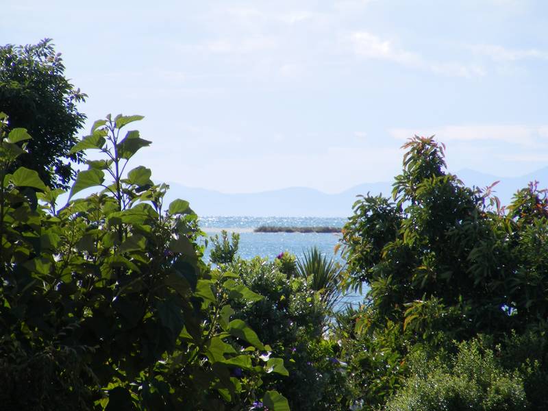 REAL BEACHY FEEL Picture 3