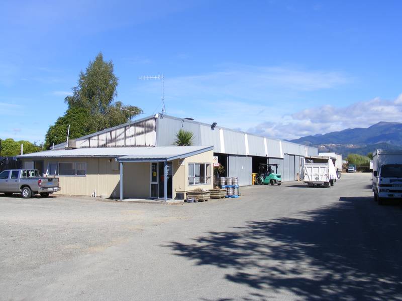 LARGE LIGHT INDUSTRIAL Picture 2