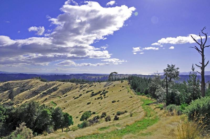 SIMPLY PUT - IT'S STUNNING!!! Picture 2