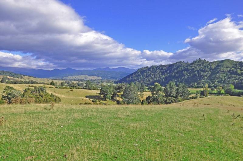 SIMPLY PUT - IT'S STUNNING!!! Picture 3