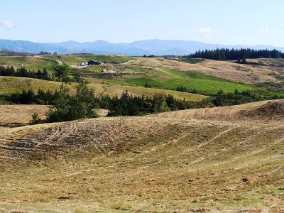 2 SOLD - ONLY 1 LEFT! Picture