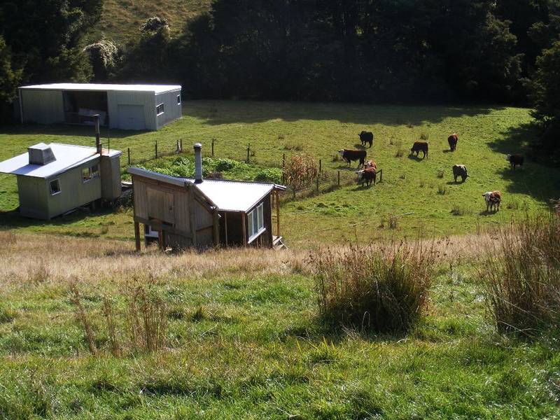 SERENE BEAUTY / VIEWS Picture 3