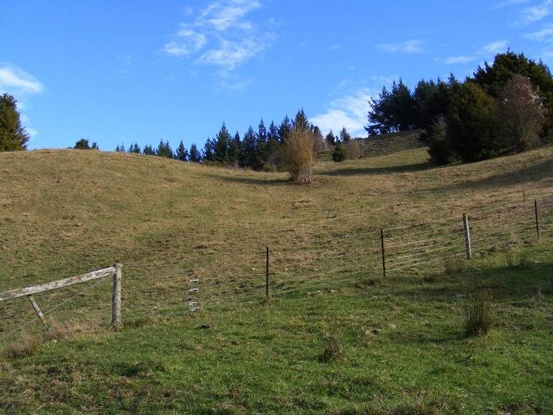 SERENE BEAUTY / VIEWS Picture 2