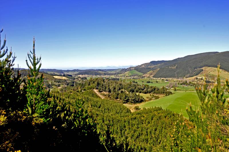 MULTIPLE OPTIONS, ENDLESS OPPORTUNITIES Picture 1