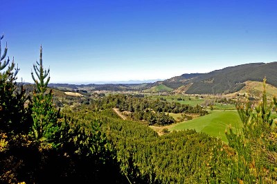 MULTIPLE OPTIONS, ENDLESS OPPORTUNITIES Picture