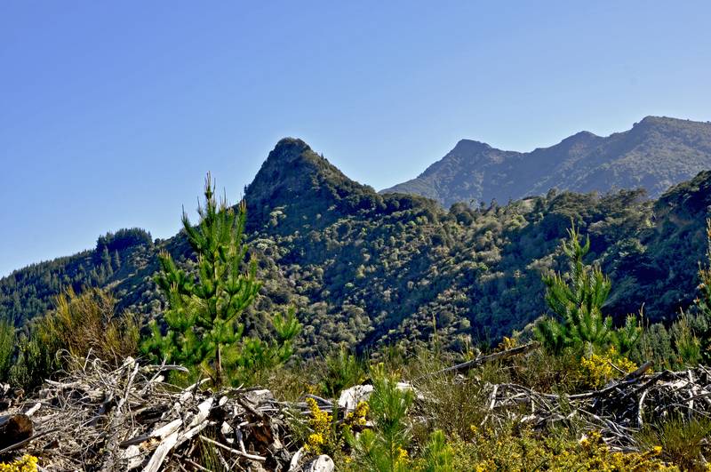 MULTIPLE OPTIONS, ENDLESS OPPORTUNITIES Picture 2