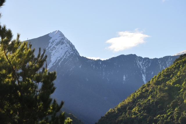 MULTIPLE OPTIONS, ENDLESS OPPORTUNITIES Picture 3