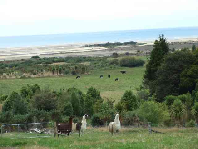 OLD MACDONALD HAS A FARM Picture 2