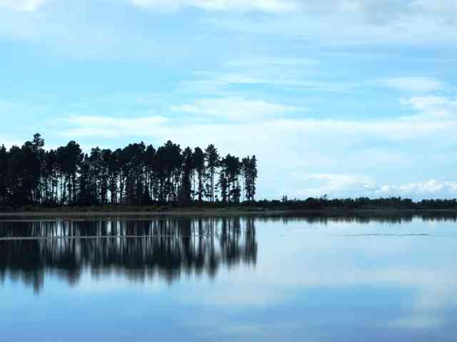 ESTUARY VIEW Picture 1