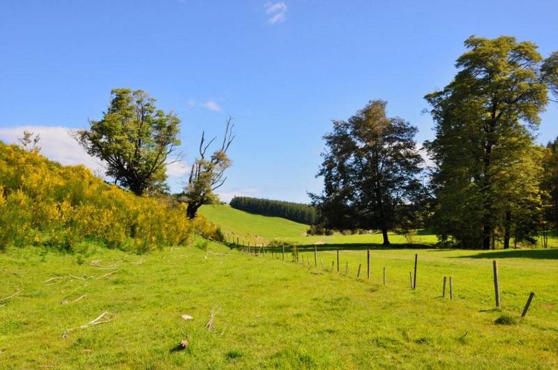 VIEWS, SOLITUDE, A SOUND LIFESTYLE CHOICE Picture 3