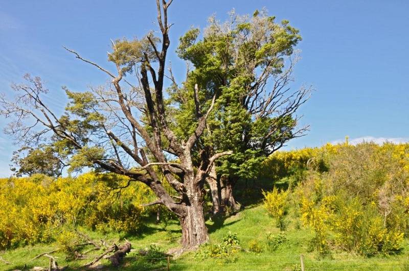 VIEWS, SOLITUDE, A SOUND LIFESTYLE CHOICE Picture 2