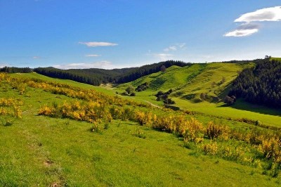 VIEWS, SOLITUDE, A SOUND LIFESTYLE CHOICE Picture