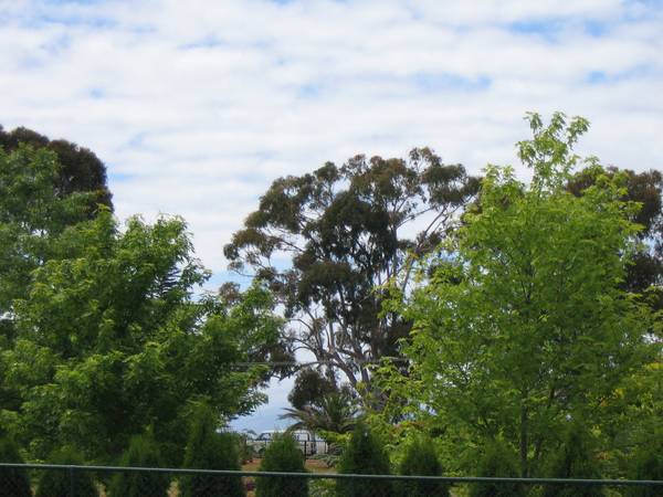 BUILD TO APPRECIATE YOUR VIEW!! Picture 2