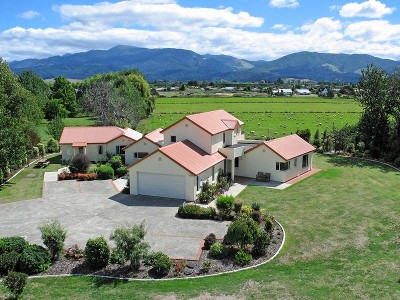 PARADISE FOUND Picture