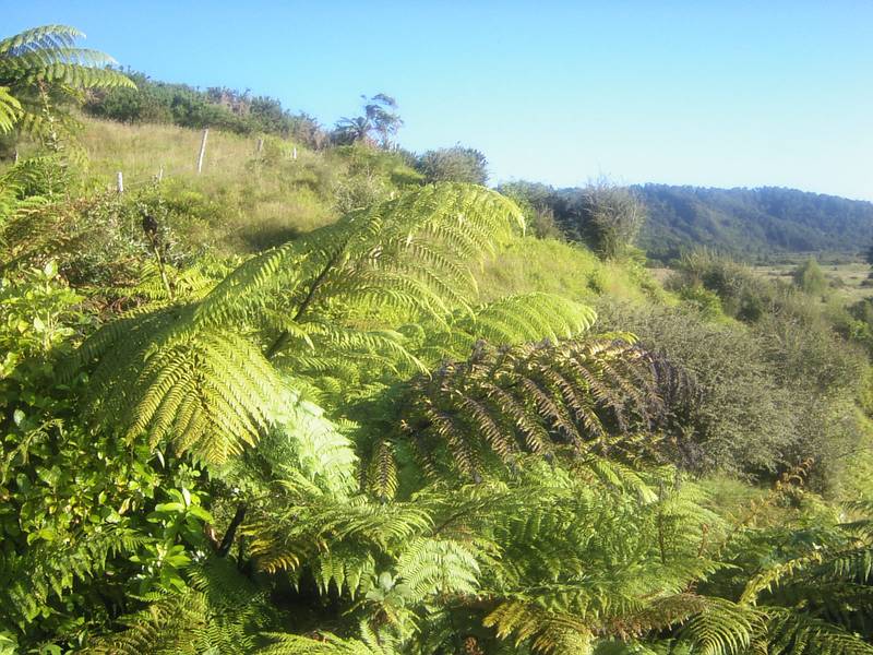 HOLIDAY AFFORDABILITY Picture 1