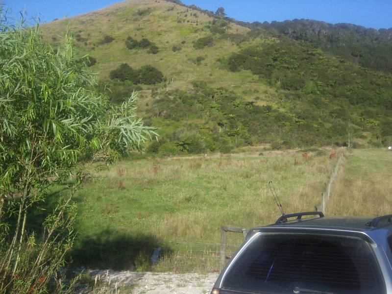 HOLIDAY AFFORDABILITY Picture 3