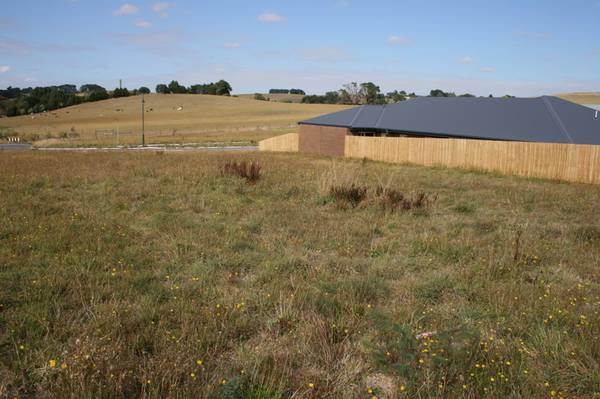 DAISYBANK ESTATE Picture 1