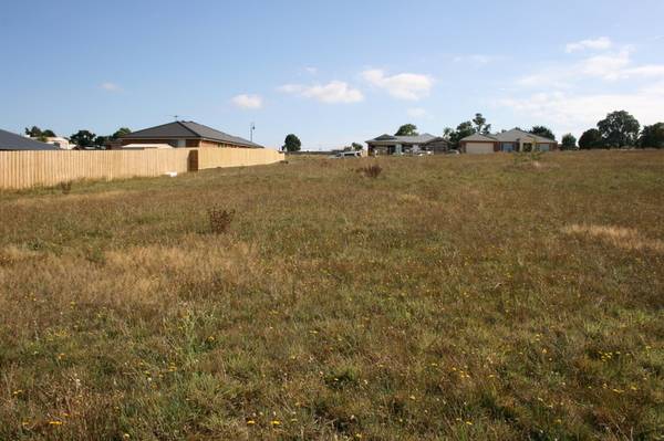 DAISYBANK ESTATE Picture 2