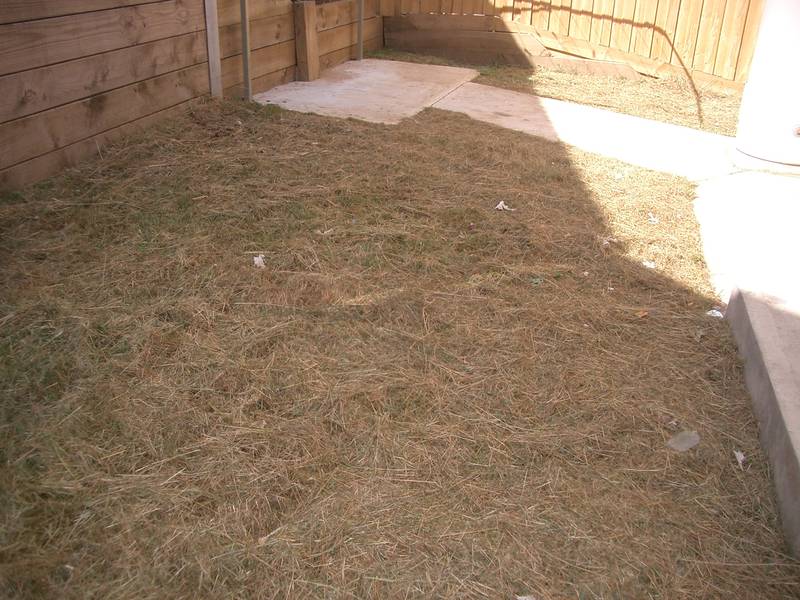 TOWNHOUSE - 3 BEDROOMS Picture 3