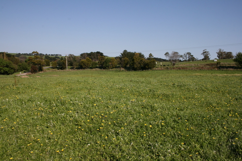 LAST CHANCE - HUGE PRICE REDUCTION - PRICED TO SELL,
NOW ! Picture 2