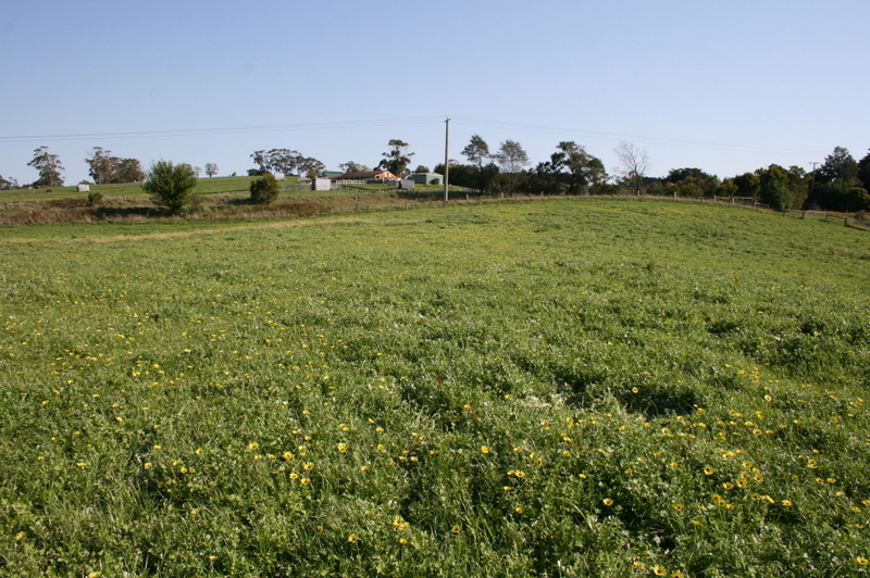 LAST CHANCE - HUGE PRICE REDUCTION - PRICED TO SELL,
NOW ! Picture 3