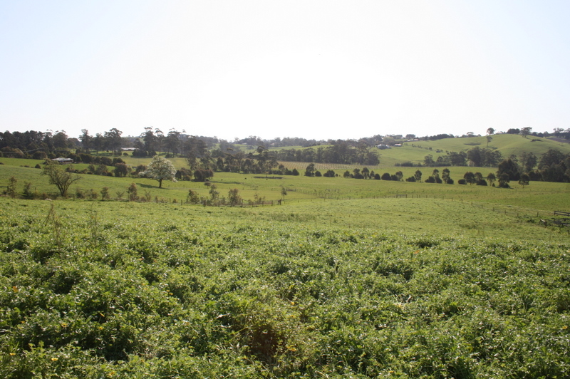 LAST CHANCE - HUGE PRICE REDUCTION - PRICED TO SELL,
NOW ! Picture 1