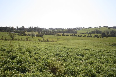 LAST CHANCE - HUGE PRICE REDUCTION - PRICED TO SELL,
NOW ! Picture