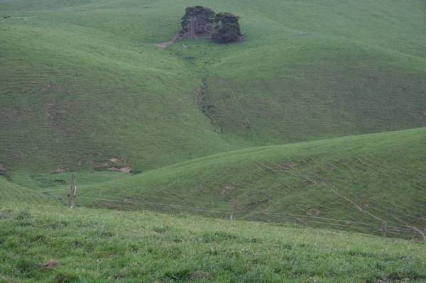 Once In A Lifetime Opportunity Picture 3