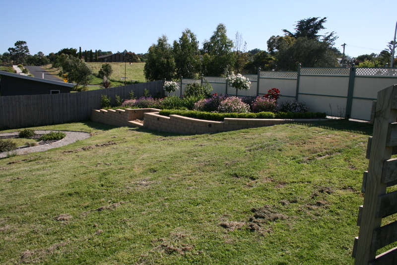 Ready Set Go Picture 2