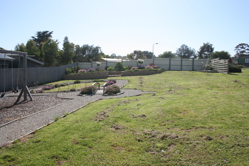 Ready Set Go Picture 3