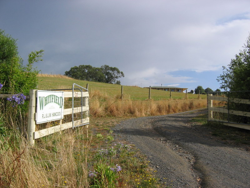 Elevated Home On 2.5 Acres Picture 2