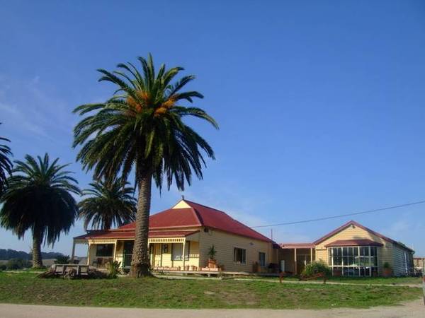 Kardella Palms - An Equestrian Dream. Picture 2