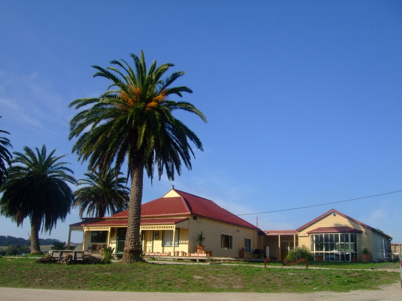 Kardella Palms - An Equestrian Dream. Picture 2