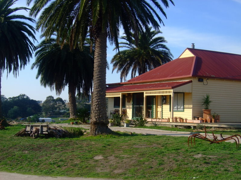 Kardella Palms - An Equestrian Dream. Picture 3