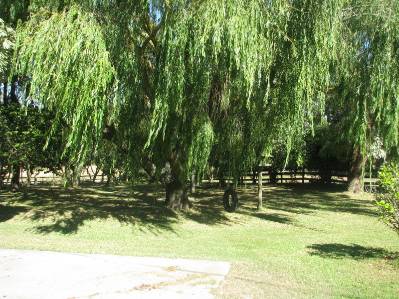 4 Bedroom B/V On 3 Acres Picture 2