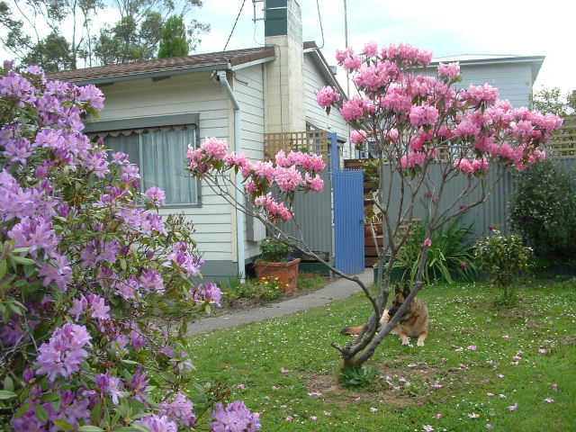 Tastefully Renovated Family Home Picture 2