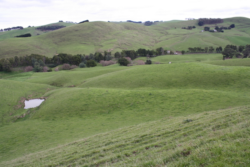BLUE GUM COUNTRY - 154 ACRES Picture 3
